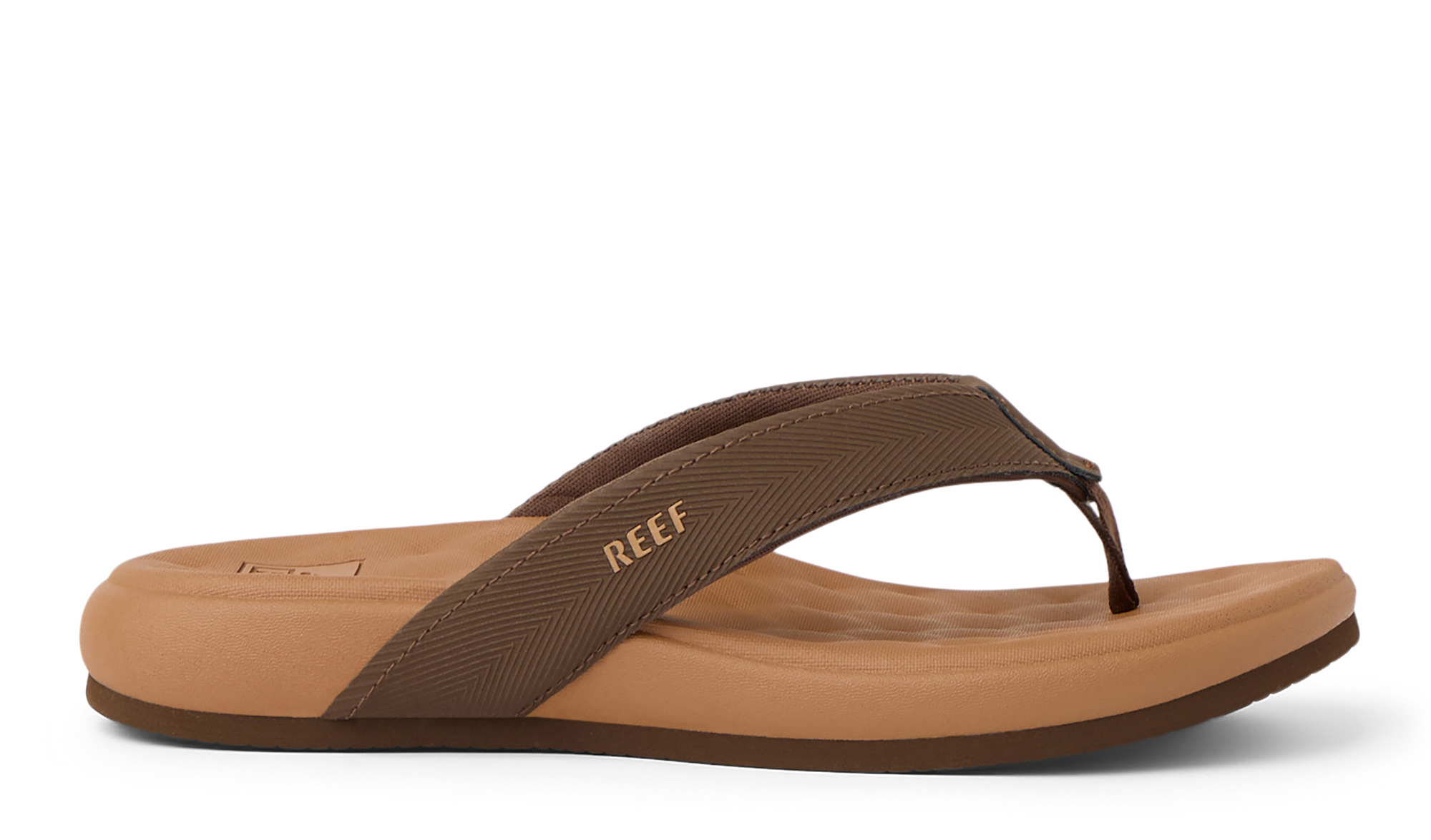 Reef - Cushion Melody