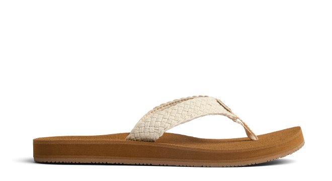 Reef - Baja Maria - Cj7338 1 - CJ7338-7